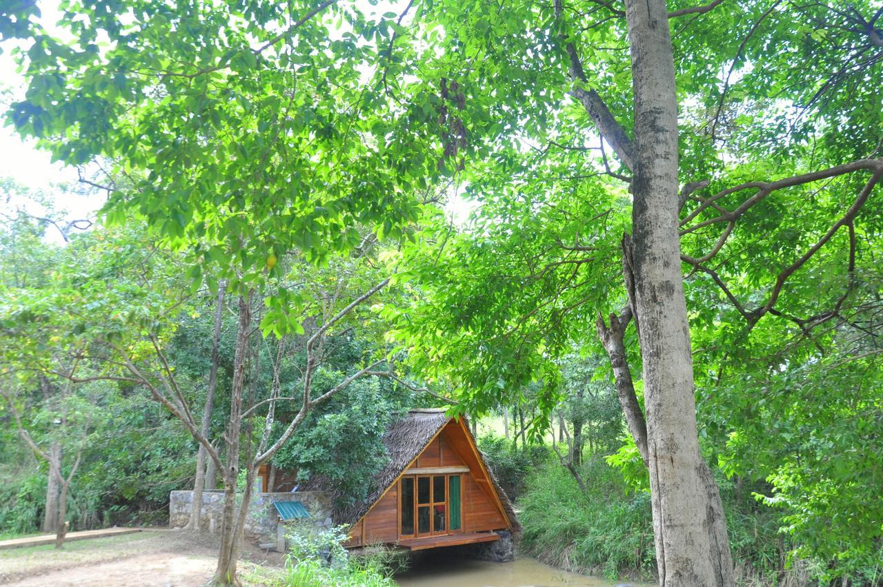 담불라 Raintree 빌라 외부 사진