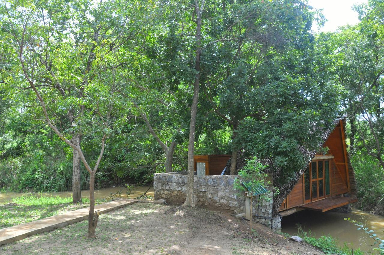 담불라 Raintree 빌라 외부 사진